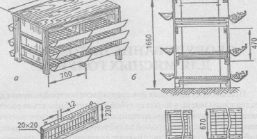 Jak vyrobit brojlerovou klec s vlastními rukama s kresbami doma